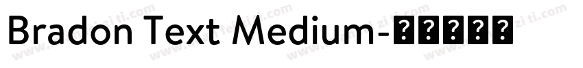 Bradon Text Medium字体转换
